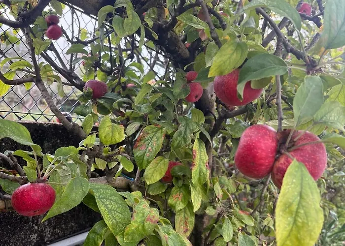 Alma Calorosa 6 Bedroom Appartement